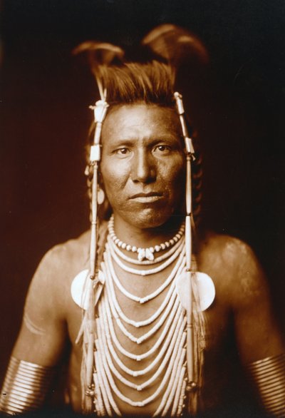 Ben Long Ear door Edward Sheriff Curtis