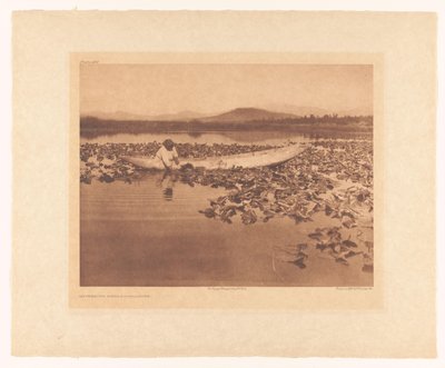 Woka’s verzamelen – Klamath door Edward Sheriff Curtis