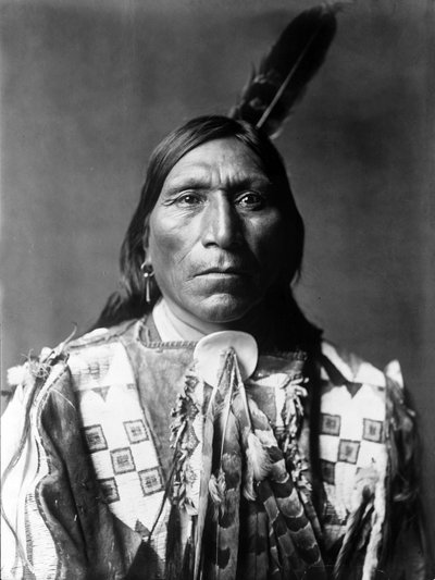 Little Hawk, Brule man, South Dakota, c. 1907 door Edward Sheriff Curtis