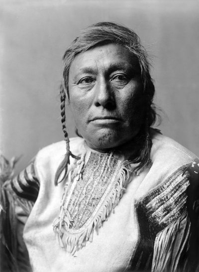Long Time Dog, indiaan, c. 1908 door Edward Sheriff Curtis