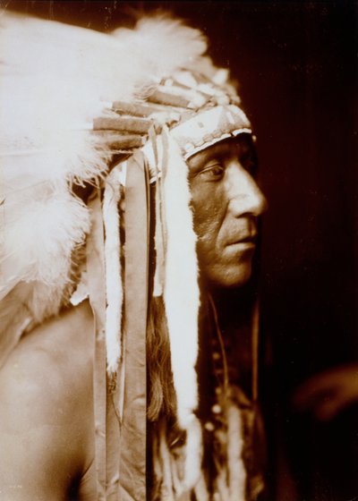 Pretty Paint door Edward Sheriff Curtis