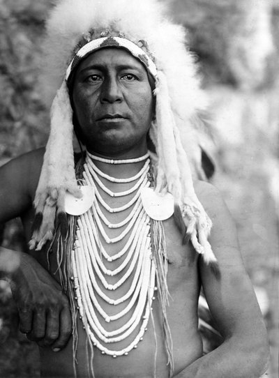 Upshaw, Apsaroke (Crow), c. 1905 door Edward Sheriff Curtis