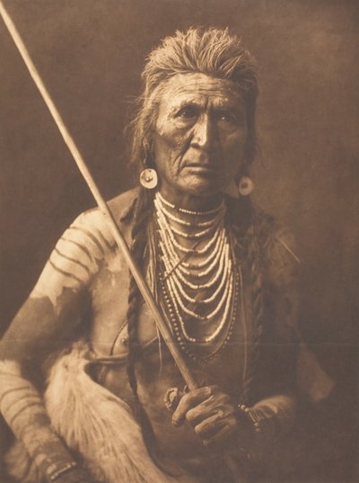 Wolf - Apsaroke, 1908 door Edward Sheriff Curtis