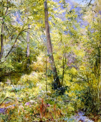 Gevlekt zonlicht, Sheepscombe Woods door Edward Steel Harper