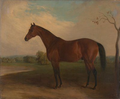 Soeverein door Edward Troye