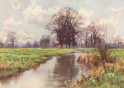Het is vrij van last, deze vrolijke kleine rivier, en noch stuwdam noch molen blokkeert zijn snelle weg naar de zee door Edward Wilkins Waite