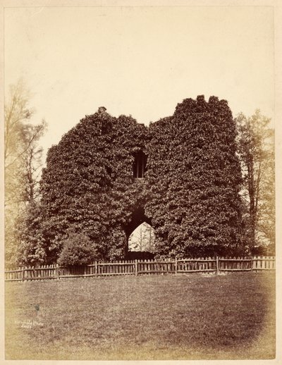 Uitzicht op een dwaasheid in Roundhay Park door Edward Wormald
