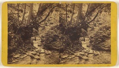 Kunstenaarsstudies, Glen Alpha. Sectie nr. 1. door Edward and Henry T. Anthony and Co.