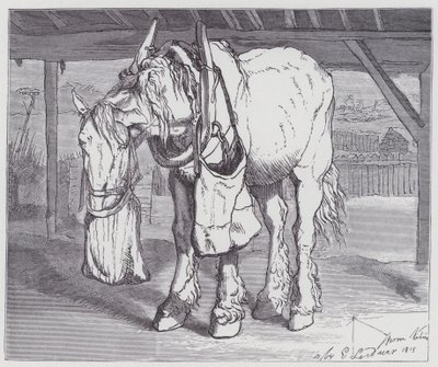 Een Trekpaard door Edwin (after) Landseer