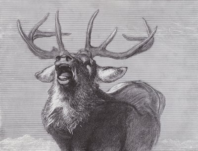 Een Uitdaging door Edwin (after) Landseer