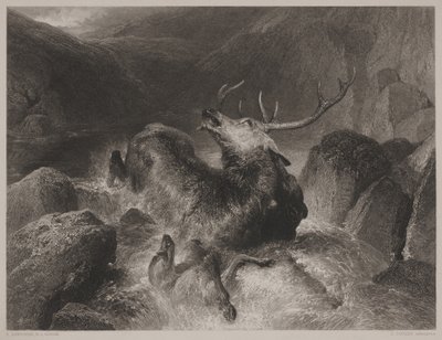 Dood van het hert, gegraveerd door John Cousen (1804-80) door Edwin (after) Landseer