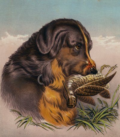 De Retriever door Edwin (after) Landseer