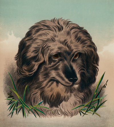 De Skye Terrier door Edwin (after) Landseer