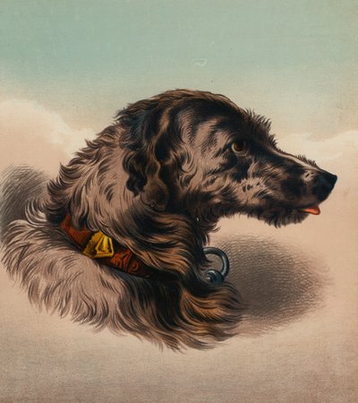De Staghound (?) door Edwin (after) Landseer