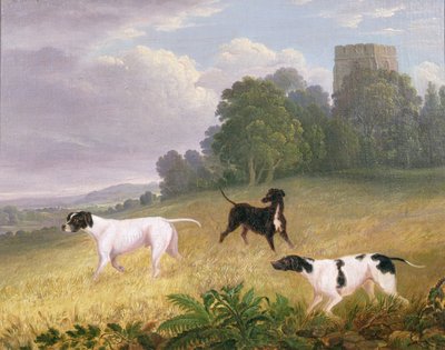 Pointers in een landschap door Edwin (attr. to) Cooper