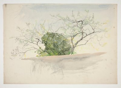 Landschap met bomen door Edwin Austin Abbey