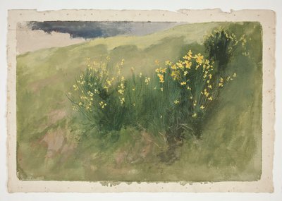 Landschap met wilde bloemen door Edwin Austin Abbey