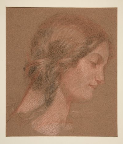 Portret van een vrouw in profiel door Edwin Austin Abbey