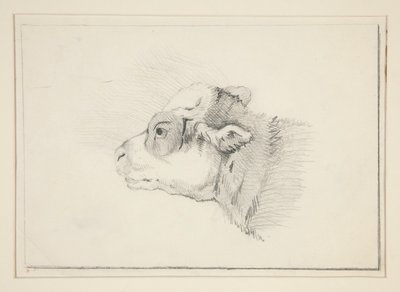 Schets van een schaap door Edwin Austin Abbey