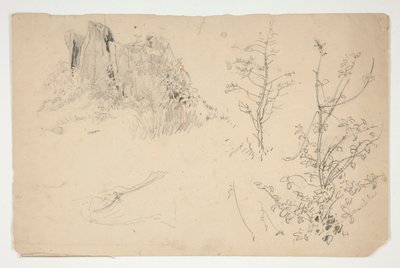 Schetsen van bomen door Edwin Austin Abbey