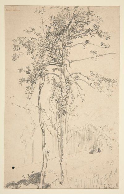 Studie van twee bomen door Edwin Austin Abbey