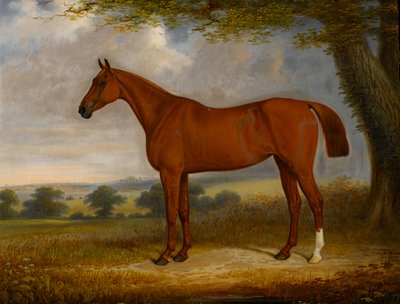 Kastanjebruine Jager in een Landschap door Edwin Brown