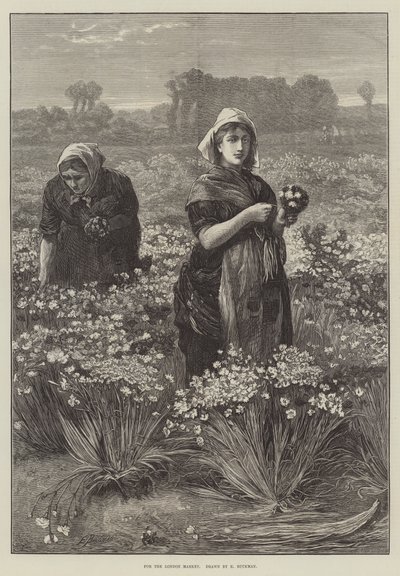 Voor de Londense markt (gravure) door Edwin Buckman