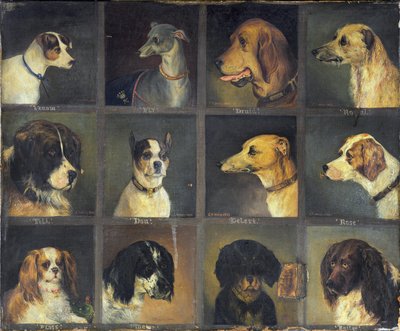 Twaalf Favoriete Honden, 1883 door Edwin Frederick Holt