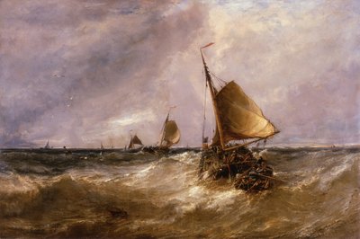 Nederlandse Pinks door Edwin Hayes