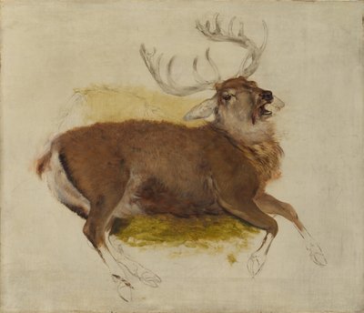Stervend hert, ca. 1830 door Edwin Landseer