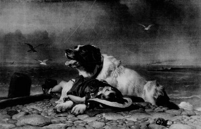 Gered! door Edwin Landseer
