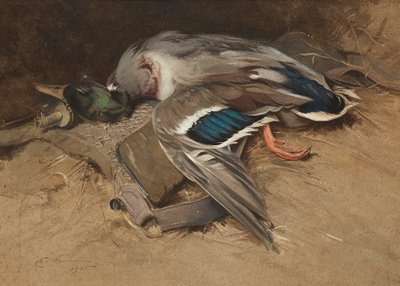 Wilde eend drake door Edwin John Alexander