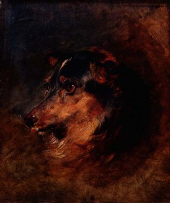 Een Hoofdstudie van een Collie Hond door Edwin Landseer
