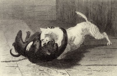 Voorbeeld X, hond vecht met aap door Edwin Landseer
