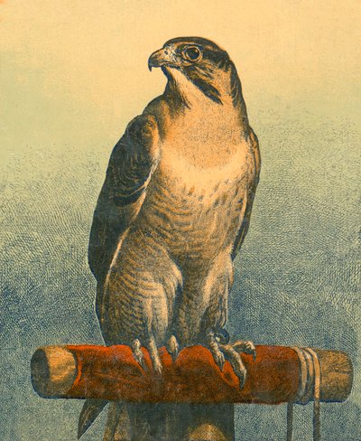 Valk door Edwin Landseer