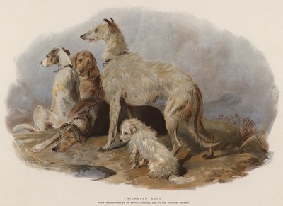 Hooglandhonden door Edwin Landseer