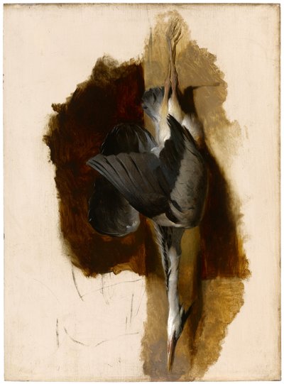Studie van een dode reiger, c.1832-33 door Edwin Landseer