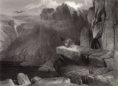 Het Nest van de Adelaar door Edwin Landseer