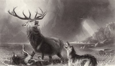 Het hert in het nauw door Edwin Landseer