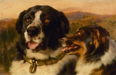 De Twee Honden door Edwin Landseer