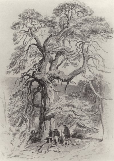 Onder de oude spar door Edwin Landseer