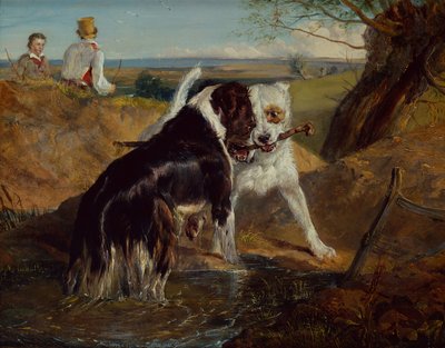 Wie krijgt de stok door Edwin Landseer