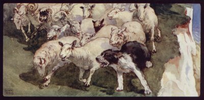 Bobtail-schapenherdershond en kudde op de kliffen door Edwin Noble