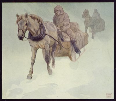 Siberische pony