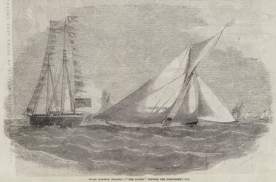 Royal Harwich Regatta, De Amazon wint de Commodore