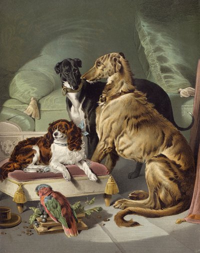 Dash, Hector, Nero en Lory door Edwin after Landseer