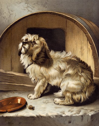Nergens Beter Dan Thuis door Edwin after Landseer