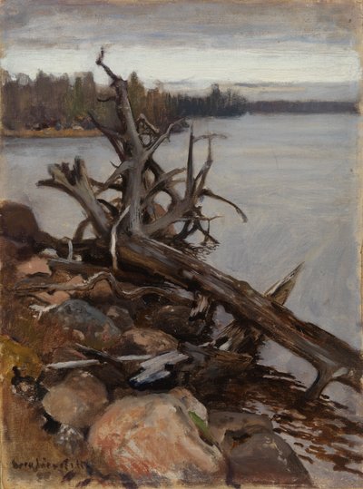  door Eero Järnefelt