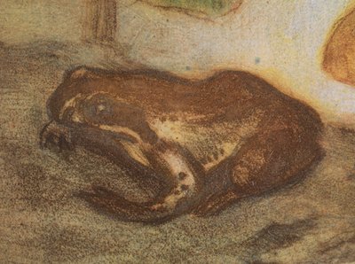 Kikker met dotterbloem door Eero Järnefelt