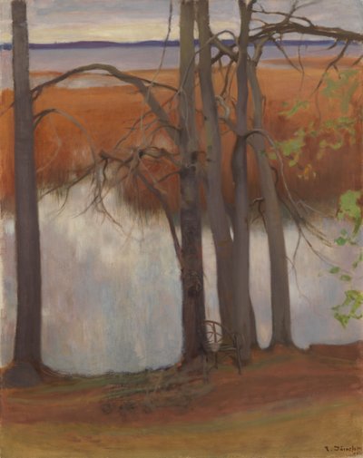 Oever met riet door Eero Järnefelt